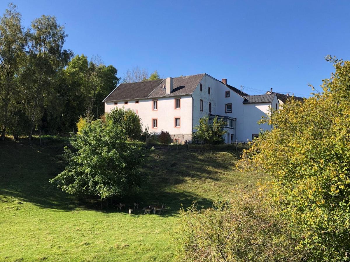 Ferienhaus Rehblick Rockeskyll Exterior foto