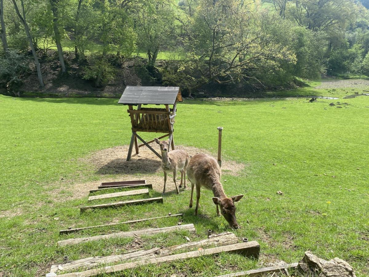 Ferienhaus Rehblick Rockeskyll Exterior foto
