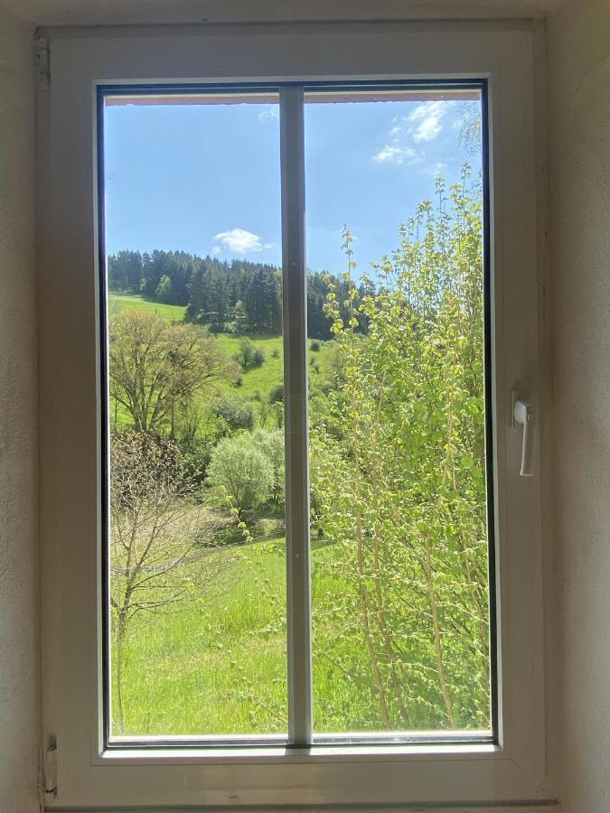 Ferienhaus Rehblick Rockeskyll Exterior foto